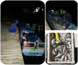 CollageMaker_20200911_182642232