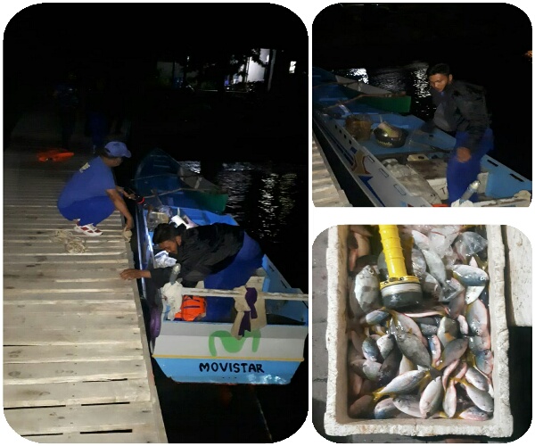 Para Pelaku Pengeboman Ikan Di Gili Tete Lape Berhasil Kabur Dari Kejaran Satuan Polair Polres Sumbawa