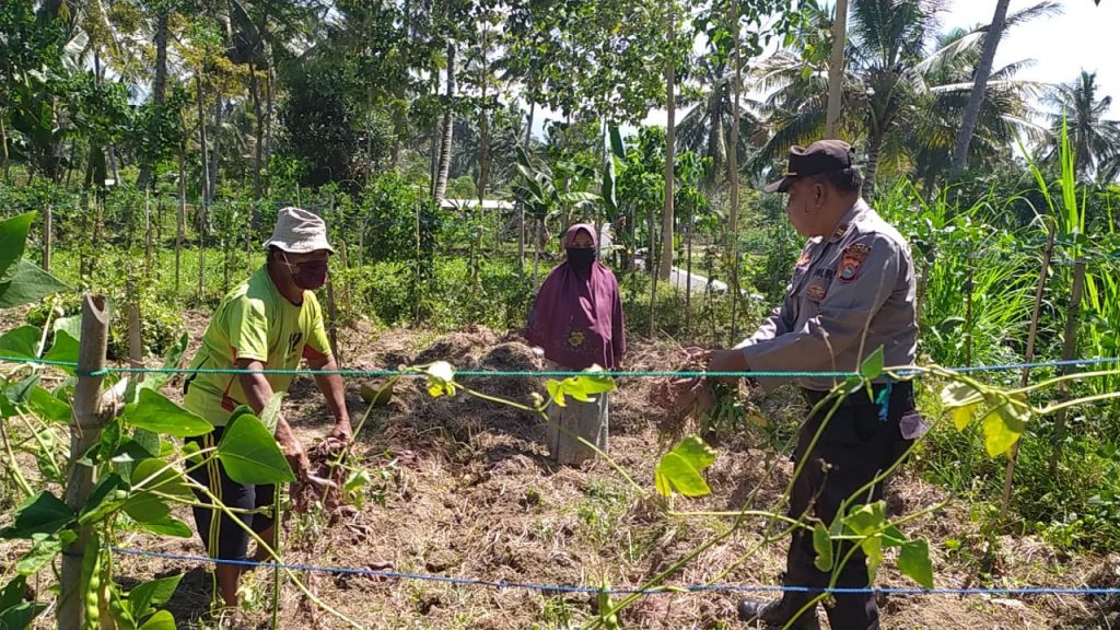 Memperkuat Ketahanan Ekonomi Serta Penerapan Protokol Kesehatan Kampung Sehat Kali Jaga Lotim Terus Digelorakan