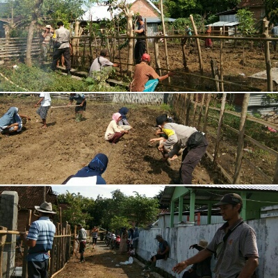 Kebun Gizi Desa Pernek, Bentuk Ketahanan Pangan Mendukung Kampung Sehat NTB Jilid 2