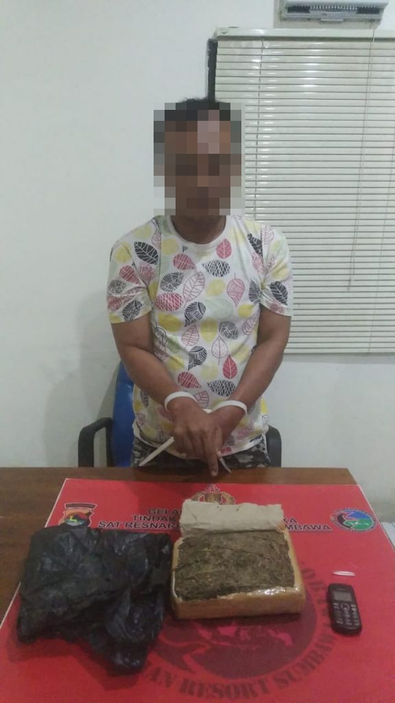 Pelaku Narkoba Asal Desa Pulau Bungin Diringkus Polisi di Alas