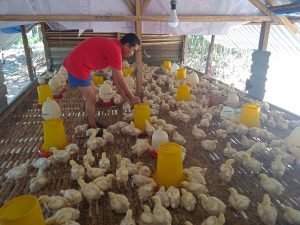 IMG_20211007_123826_1