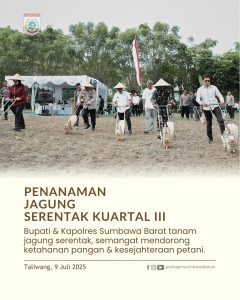 IMG-20250711-WA0012