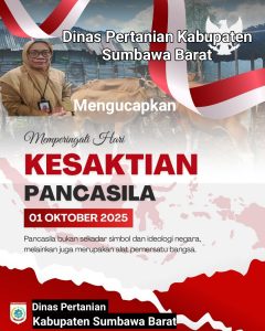 AddText_10-22-03.51.19