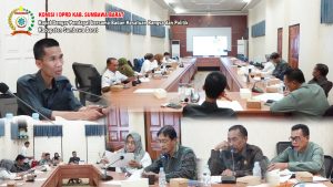 file (2)