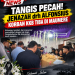 Tangis Pecah! Jenazah drh Alfonsius Korban KKB Tiba di Maumere